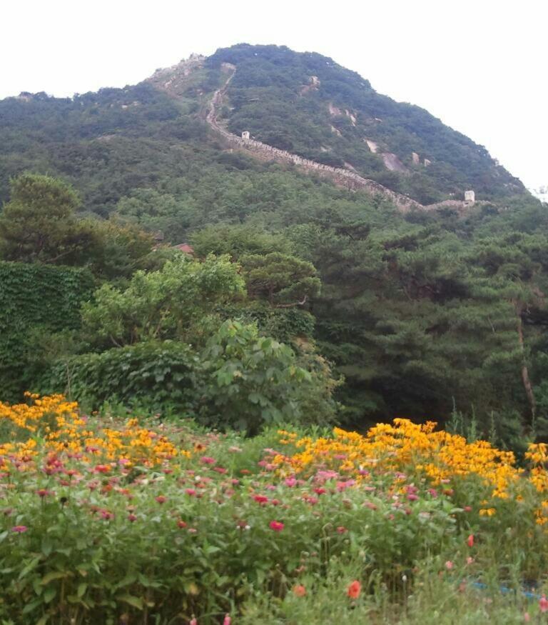 Guesthouse The Kims Seul Exterior foto